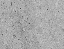 картинка Vertigo ПВХ плитка Vertigo (Вертиго) Vertigo Loose Lay 8508 Water Limestone Light Grey, 457.2 X 457.2 мм (упак.2,09 м2) (Вертиго ) магазин Симфония Пола - официальный дилер Vertigo в России