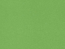 картинка Interface Ковровая плитка Interface (Интерфейс) Palette 2000 542140 Kiwi 0,5х0,5 м (Интерфейс ) магазин Симфония Пола - официальный дилер Interface в России