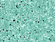 картинка Vertigo ПВХ рулонный Vertigo (Вертиго) VBS3 16 Sea Mist Green -2,0 м/2,0 мм (Вертиго ) магазин Симфония Пола - официальный дилер Vertigo в России