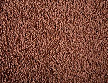 картинка Besana Ковер Besana (Бесана) BESANA Silk 08 артикул 25, ширина 4 м 100% ПОЛИАМИД (Бесана ) магазин Симфония Пола - официальный дилер Besana в России