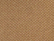 картинка Balsan Ковер Balsan (Балсан) Balsan Capitol 630 COGNAC, 4 м 100% ПОЛИАМИД (Балсан ) магазин Симфония Пола - официальный дилер Balsan в России 