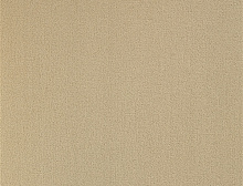 картинка Balsan Ковер Balsan (Балсан) Balsan Les Greens 2 Confort 738 FAON, 4 м 100% ПОЛИАМИД (Балсан ) магазин Симфония Пола - официальный дилер Balsan в России