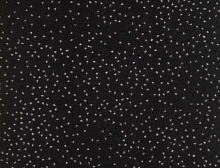 картинка Balsan Ковер Balsan (Балсан) Balsan Constellation 990 SIRIUS, 4 м 100% ПОЛИАМИД (Балсан ) магазин Симфония Пола - официальный дилер Balsan в России 