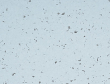 картинка Gerflor ПВХ рулонный Gerflor (Жерфлор) Mipolam Symbioz 6206 Nova Blue Sky, рулон 2х20м (Жерфлор ) магазин Симфония Пола - официальный дилер Gerflor в России