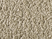 картинка Balsan Ковер Balsan (Балсан) Balsan Sublime - 730  CHAMPAGNE,  4 м 100% ПОЛИАМИД Solution dyed (Балсан ) магазин Симфония Пола - официальный дилер Balsan в России 