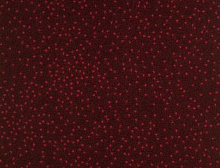 картинка Balsan Ковер Balsan (Балсан) Balsan Constellation 570 OMEGA, 4 м 100% ПОЛИАМИД (Балсан ) магазин Симфония Пола - официальный дилер Balsan в России