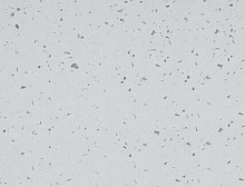 картинка Gerflor ПВХ рулонный Gerflor (Жерфлор) Mipolam Symbioz 6209 Nova Grey Stone, рулон 2х20м (Жерфлор ) магазин Симфония Пола - официальный дилер Gerflor в России 
