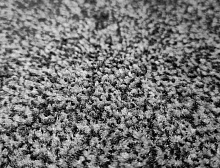 картинка Vivat Carpet Ковер напольный грязезащитный влаговпитывающий, серый, 85х150см (Виват карпет Ковер напольный грязезащитный влаговпитывающий, серый, 85х150см) магазин Симфония Пола - официальный дилер Vivat Carpet в России