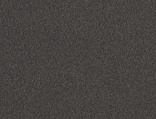 картинка Interface Ковровая плитка Interface (Интерфейс) Biosfera Velour 7988 Orco Brasil 0,5x0,5м (Интерфейс ) магазин Симфония Пола - официальный дилер Interface в России