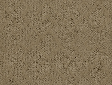 картинка  Ковер  Balsan Grand Hotel Riziere 630, 4 м ( ) магазин Симфония Пола - официальный дилер  в России 