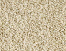 картинка Balsan Ковер Balsan (Балсан) Balsan Sublime - 610 GINGEMBRE, 4 м 100% ПОЛИАМИД Solution dyed (Балсан ) магазин Симфония Пола - официальный дилер Balsan в России