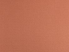 картинка Balsan Ковер Balsan (Балсан) Balsan Quick 438 TOMETTE, 4 м 100% ПОЛИАМИД (Балсан ) магазин Симфония Пола - официальный дилер Balsan в России 