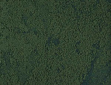 картинка Interface Ковровая плитка Interface (Интерфейс) Urban Retreat One UR 103 327121 Ivy 0.5х.0,5 m, item 7150002 (Интерфейс ) магазин Симфония Пола - официальный дилер Interface в России