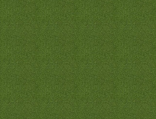 картинка Interface Ковровая плитка Interface (Интерфейс) Polichrome Stipple 4265016 Cactus 0,5x 0.5 м (Интерфейс ) магазин Симфония Пола - официальный дилер Interface в России 