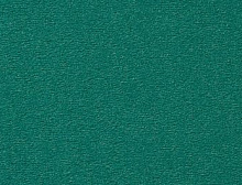 картинка Vorwerk Passion 1000 1H91 (Ворверк Пасион 1000 1H91) магазин Симфония Пола - официальный дилер Vorwerk в России