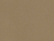 картинка Interface Ковровая плитка Interface (Интерфейс) Palette 2000 542147 Malt 0.5x0.5 м (Интерфейс ) магазин Симфония Пола - официальный дилер Interface в России 