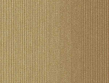 картинка Interface Ковровая плитка Interface (Интерфейс) Straightforward 308128 Sesame 0,5x0,5 m (Интерфейс ) магазин Симфония Пола - официальный дилер Interface в России