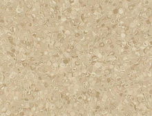 картинка Grabo ПВХ рулонный Grabo (Грабо) Fortis, Caramel 2.0mm (2*20m) (Грабо ) магазин Симфония Пола - официальный дилер Grabo в России