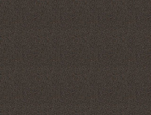 картинка Interface Ковровая плитка Interface (Интерфейс) Dolomite 429006 Amber 0.5 x 0.5 м (Интерфейс ) магазин Симфония Пола - официальный дилер Interface в России 