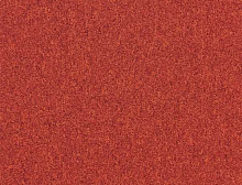 картинка Interface Ковровая плитка Interface (Интерфейс) 7964 Hot Pepper - 0,5х0,5 м/5.6/2.6 мм (Интерфейс ) магазин Симфония Пола - официальный дилер Interface в России