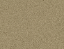 картинка Interface Ковровая плитка Interface (Интерфейс) Interface Palette 2000 - 542145 Latte 0,5 x 0,5 м, (Интерфейс ) магазин Симфония Пола - официальный дилер Interface в России