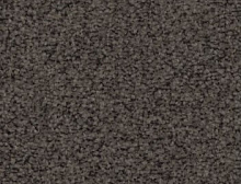 картинка Desoma Ковер рулонный Stepway NY4701 X4455, шир. 3.66м Desoma (Десома) 100% ПОЛИАМИД Solution dyed (Десома ) магазин Симфония Пола - официальный дилер Desoma в России