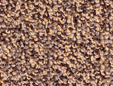картинка Balsan Коммерческий ковролин Centaure Deco 778 (Бальсан Центаури Деко 778) магазин Симфония Пола - официальный дилер Balsan в России 