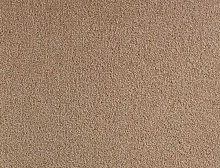 картинка Balsan Ковер Balsan (Балсан) Balsan Les First 720 BICHE, 4 м 100% ПОЛИАМИД (Балсан ) магазин Симфония Пола - официальный дилер Balsan в России