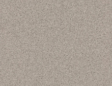 картинка TARKETT ПВХ рулонный Tarkett (Таркетт) Primo Plus 313 - 2,0 м/2,0 мм (Таркетт ) магазин Симфония Пола - официальный дилер TARKETT в России