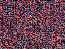 картинка Balsan Коммерческий ковролин Centaure Deco 598 (Бальсан Центаури Деко 598) магазин Симфония Пола - официальный дилер Balsan в России 