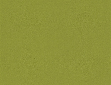 картинка Interface Ковровая плитка Interface (Интерфейс) Interface Palette 2000 - 542139 Spring 0,5 x 0,5 м, (Интерфейс ) магазин Симфония Пола - официальный дилер Interface в России