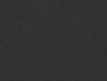 картинка Ковер Balsan Grand Hotel Elysee 960, 4 м ( ) магазин Симфония Пола - официальный дилер в России