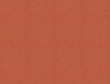 картинка Interface Ковровая плитка Interface (Интерфейс) Polichrome Stipple 4265022 Nectarine 0,5x 0.5 м (Интерфейс ) магазин Симфония Пола - официальный дилер Interface в России 