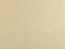 картинка Balsan Ковер Balsan (Балсан) Balsan Les Must 605 CHAMPAGNE, 4 м 100% ПОЛИАМИД (Балсан ) магазин Симфония Пола - официальный дилер Balsan в России 