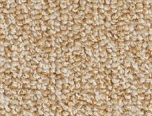 картинка Balsan Коммерческий ковролин Centaure Deco 648 (Бальсан Центаури Деко 648) магазин Симфония Пола - официальный дилер Balsan в России 