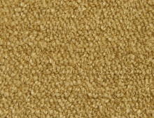 картинка Edel Ковер Edel (Эдель) Edel Group Picollo - 122 Gold, ширина 4 м 100% ПОЛИАМИД Solution dyed (Эдель ) магазин Симфония Пола - официальный дилер Edel в России