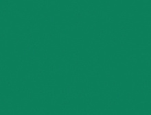 картинка TARKETT ПВХ рулонный Tarkett (Таркетт) Omnisports Actions 65 Field Green - 2,0 м (Таркетт ) магазин Симфония Пола - официальный дилер TARKETT в России