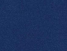 картинка Vorwerk Passion 1000 3N56 (Ворверк Пасион 1000 3N56) магазин Симфония Пола - официальный дилер Vorwerk в России