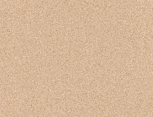 картинка TARKETT ПВХ рулонный Tarkett (Таркетт) Primo Plus 302 - 2,0 м/2,0 мм (Таркетт ) магазин Симфония Пола - официальный дилер TARKETT в России 