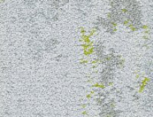 картинка InnovFlor Ковровая плитка Innovflor Colorkey A-02 0.25*1 м (ИнновФлор ) магазин Симфония Пола - официальный дилер InnovFlor в России
