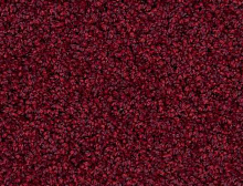 картинка Edel Ковер Edel (Эдель) Edel Group Fleur 265 100% ПОЛИАМИД (Эдель ) магазин Симфония Пола - официальный дилер Edel в России 