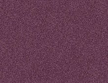 картинка Interface Ковровая плитка Interface (Интерфейс) Polichrome 7576 Soft magenta 0.5x0.5 м (Интерфейс ) магазин Симфония Пола - официальный дилер Interface в России