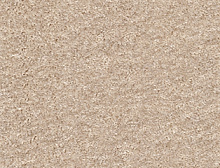 картинка Associated Weavers Sensation 38 (АВ Сенсейшн 38) магазин Симфония Пола - официальный дилер Associated Weavers в России