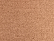 картинка Balsan Ковер Balsan (Балсан) Balsan Quick 450 CHAUDRON, 4 м 100% ПОЛИАМИД (Балсан ) магазин Симфония Пола - официальный дилер Balsan в России