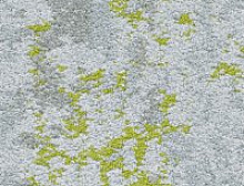 картинка InnovFlor Ковровая плитка Innovflor Colorkey B-02 0.25*1 м (ИнновФлор ) магазин Симфония Пола - официальный дилер InnovFlor в России 