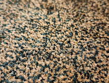 картинка Vivat Carpet Ковер напольный грязезащитный влаговпитывающий, коричневый, 115х200см (Виват карпет Ковер напольный грязезащитный влаговпитывающий, коричневый, 115х200см) магазин Симфония Пола - официальный дилер Vivat Carpet в России
