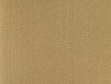 картинка Balsan Ковер Balsan (Балсан) Balsan Les Best  680, 4 м 100% ПОЛИАМИД (Балсан ) магазин Симфония Пола - официальный дилер Balsan в России 