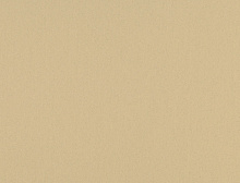 картинка Gerflor Uni Walton 0043 Neutral Beige (Жерфлор ) магазин Симфония Пола - официальный дилер Gerflor в России