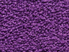 картинка Edel Ковер Edel (Эдель) Edel Group Kids - 035, ширина 4 м 100% ПОЛИАМИД Solution dyed (Эдель ) магазин Симфония Пола - официальный дилер Edel в России 