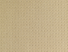 картинка Balsan Ковер Balsan (Балсан) Balsan Territoires Atrium 621 DUNE, 4 м 100% ПОЛИАМИД (Балсан ) магазин Симфония Пола - официальный дилер Balsan в России